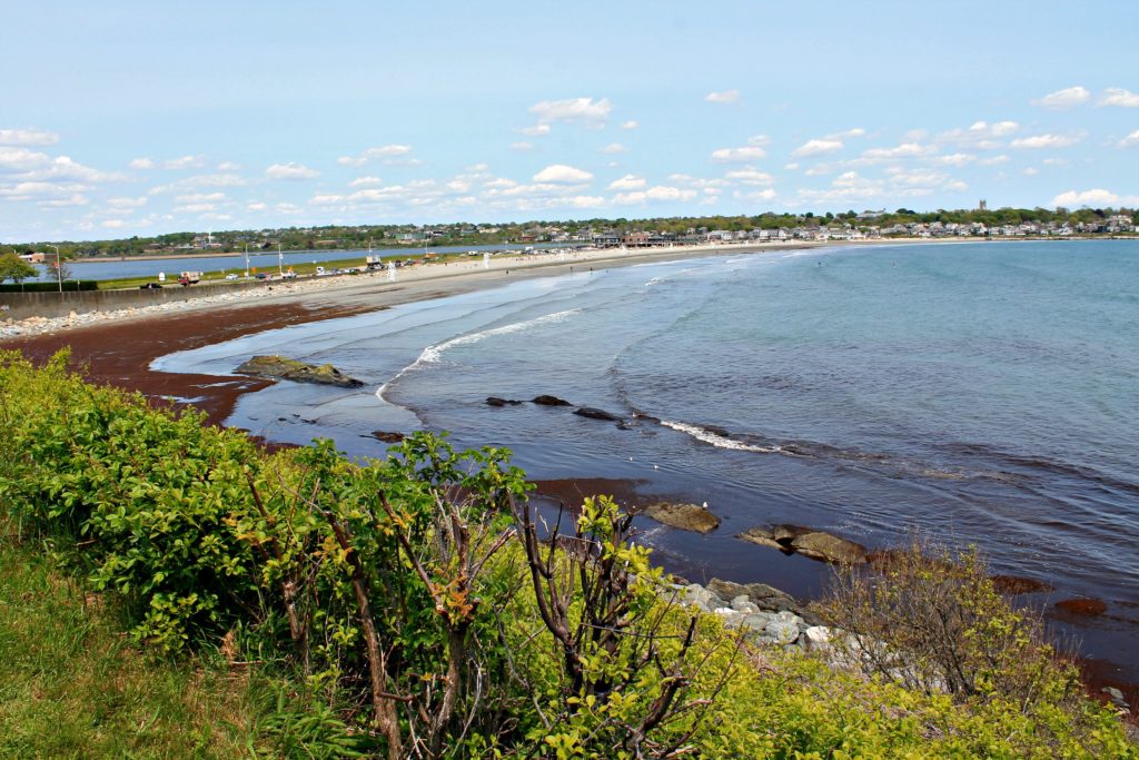 Newport, RI's Cliff Walk Photos to Inspire Your Visit and Information